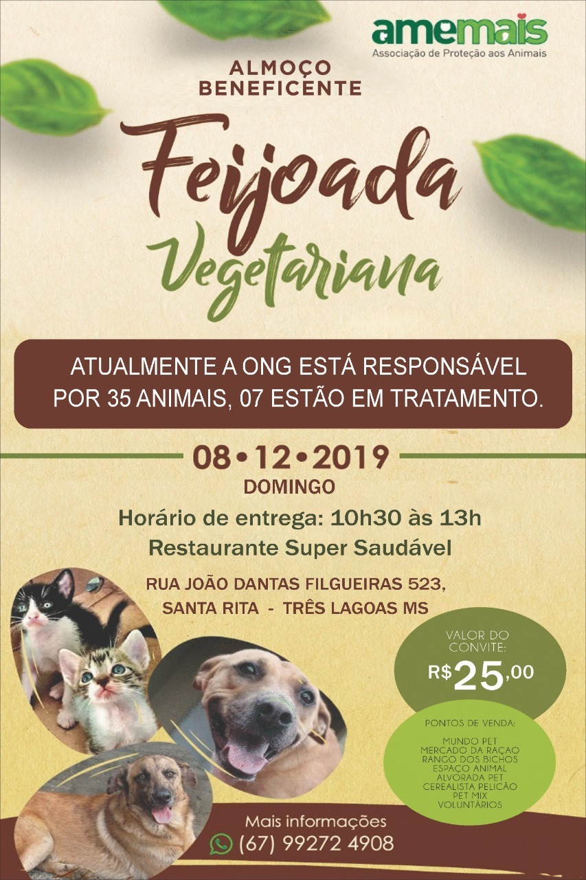 Foto: Divulgação.