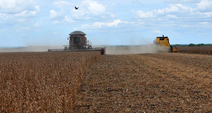 Compensação de perdas pela lei que isenta exportações de grãos pode sair em 2019 - Foto: Valdenir Rezende/Correio do Estado