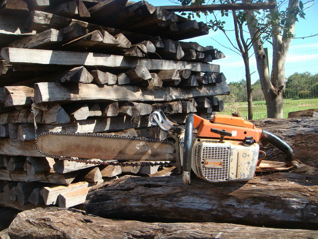 Foto: Assesoria de Imprensa