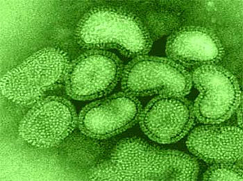 Vírus H3N2 (Foto: Ilustração)