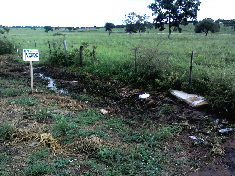 Foto: Repórter News