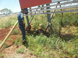 Corpo ainda não foi identificadoFoto: Cido Costa