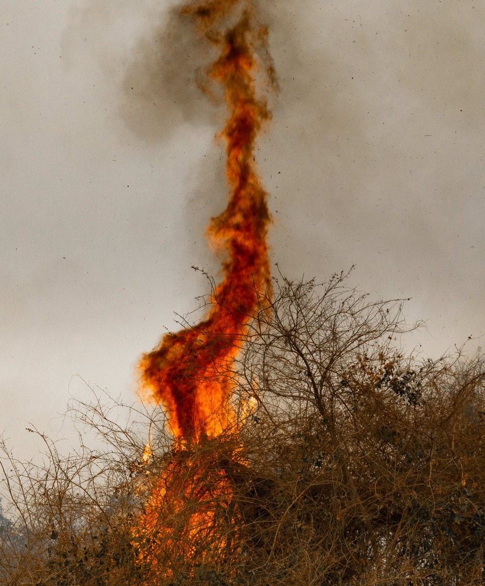 Fotógrafo registrou destruição das queimadas no Pantanal — Foto: Araquém Alcântara/Divulgação.