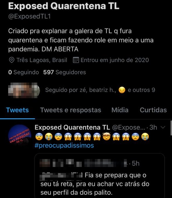 Atualmente, a conta possui 597 seguidores. Foto: Reprodução.