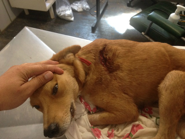 Foto: Assessoria de Imprensa