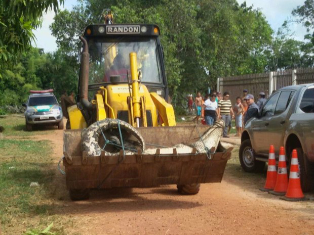 Animal sendo transportado para o quartel da PM de Calçoene (Foto: Reprodução/TV Amapá)