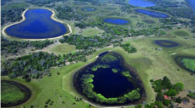 Parque Estadual do Pantanal do Rio Negro terá áreas regularizadas - Foto: Divulgação/Guilherme Rondon
