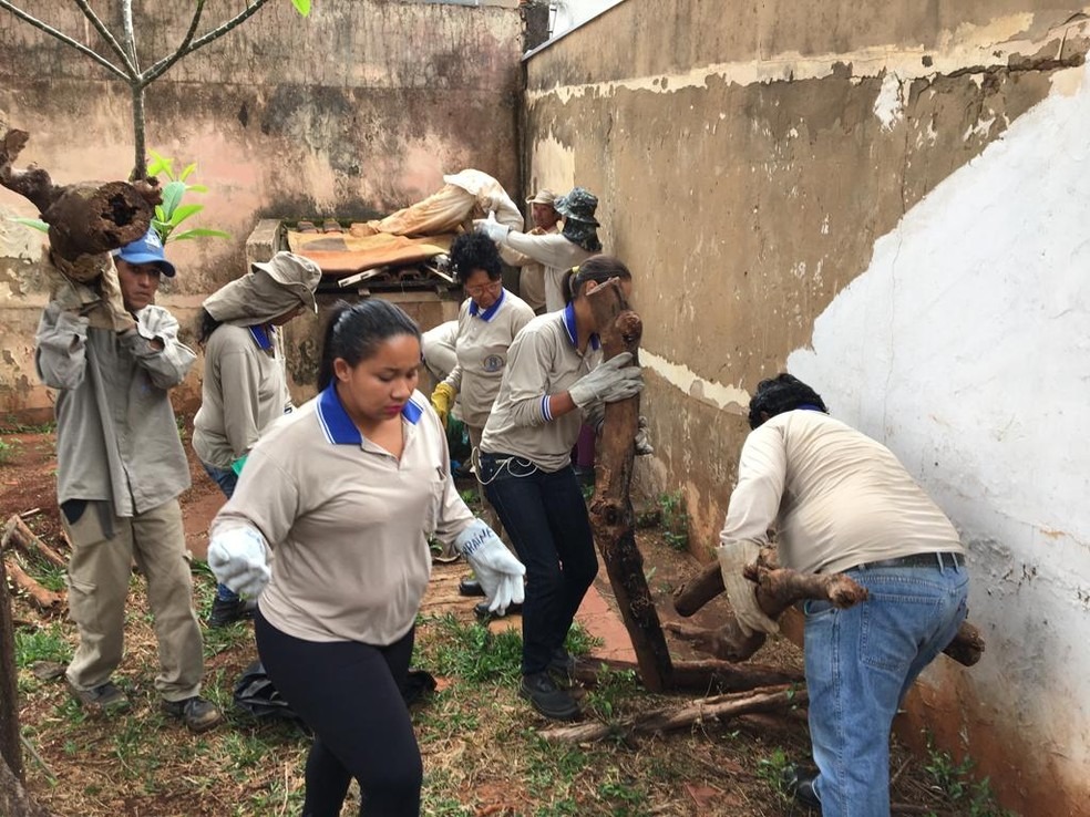 Agentes de saúde tiram resíduos da casa da americana — Foto: Osvaldo Nóbrega/TV Morena