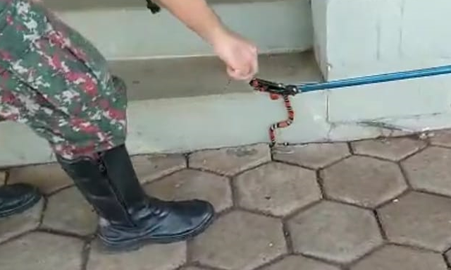 Foto: Divulgação / PMA