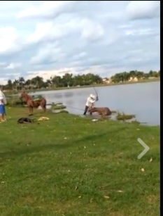 O vídeo está circulando nas redes sociais.