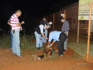 Foto: Osvaldo Duarte