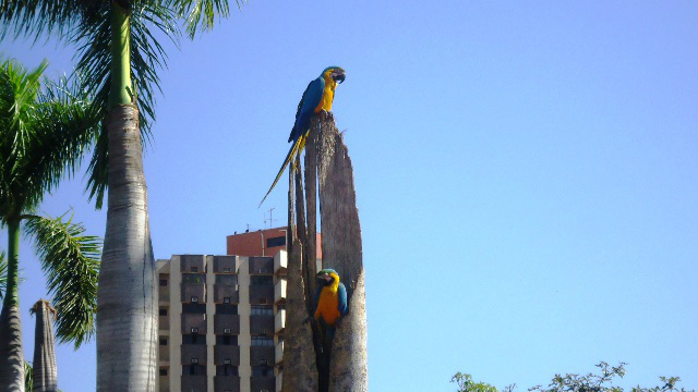 Praça Ramez Tebet, Centro de Três Lagoas nesta segunda-feira (03).
