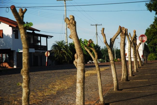 Foto: Ilustrativa