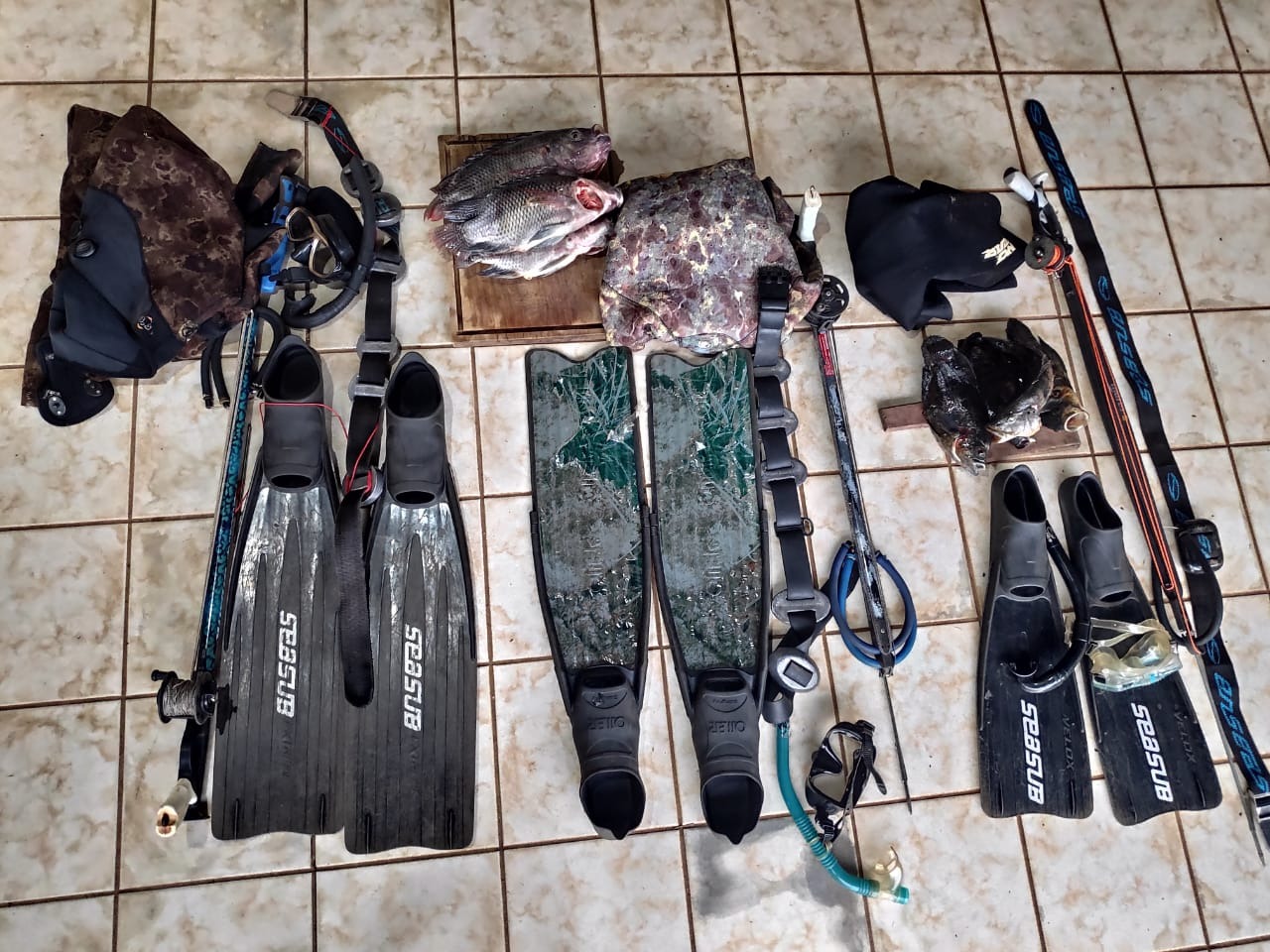 De acordo com os policiais, três paulistas foram autuados em R$ 3 mil por pesca subaquática ilegal e pescado e equipamentos de mergulho e pesca também foram apreendidos. Foto: PMA/MS.