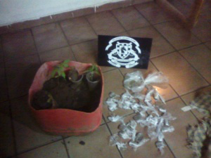 Foto: Campo Grande News