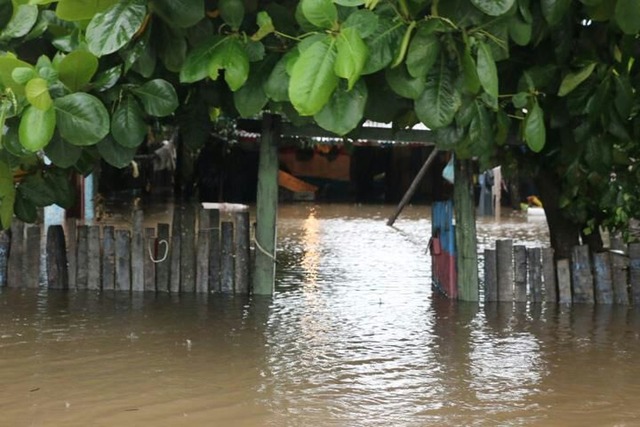 Chuva está prevista até a próxima sexta em Porto Murtinho, MS (Foto: Corpo de Bombeiros/Divulgação)