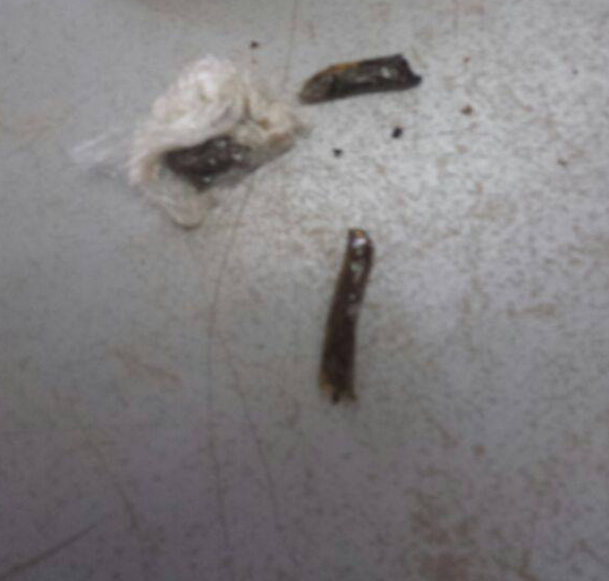 (Foto: Viviane Pinheiro - Rádio Caçula)