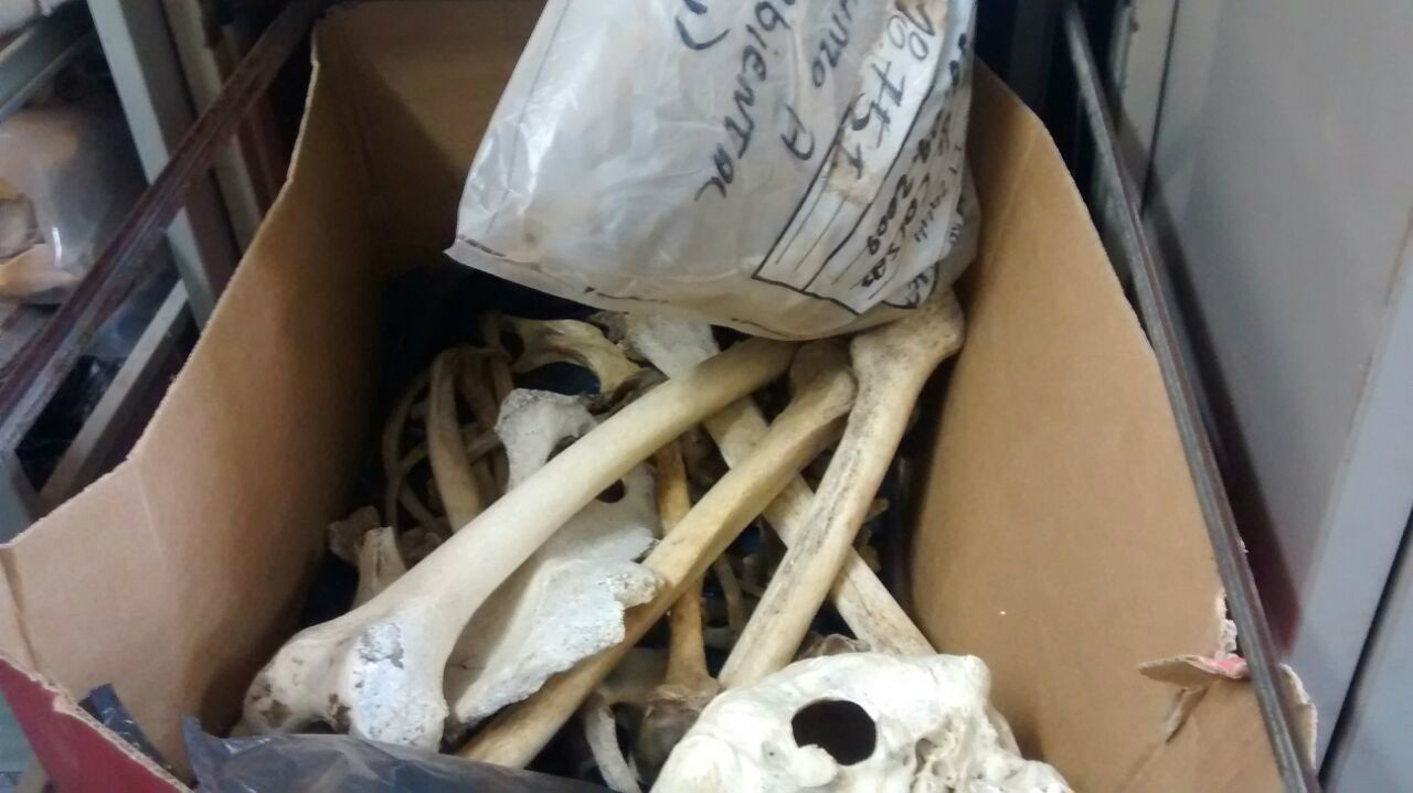 Foto;: Divulgação / Sinpol-MS