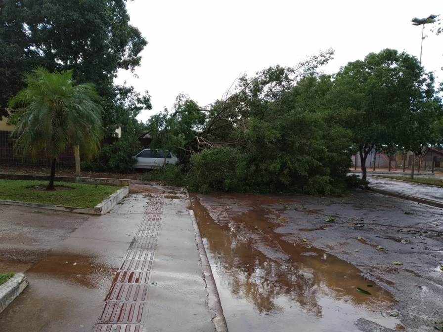 Chuva deixou rastro de destruição por toda cidade - Fotos: Rio Pardo News