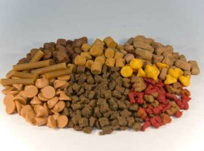 Foto: Ilustração / Divulgação