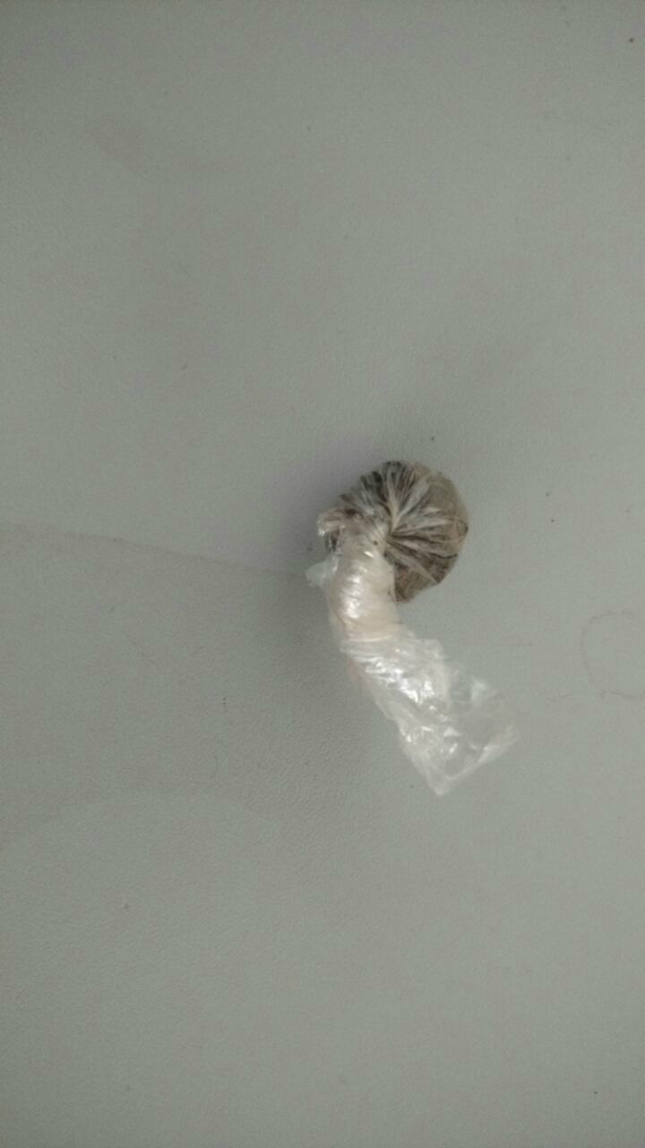 Trouxinha de maconha foi encontrada pela PM.