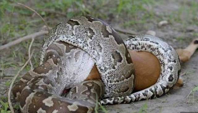Imagens: Reprodução / Daily Mail