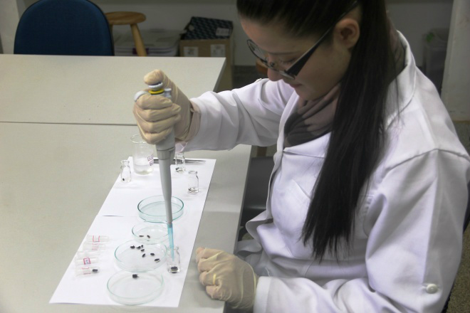 A doutoranda Michele Castro pesquisa sobre as moscas forensesFoto: Divulgação/UEMS