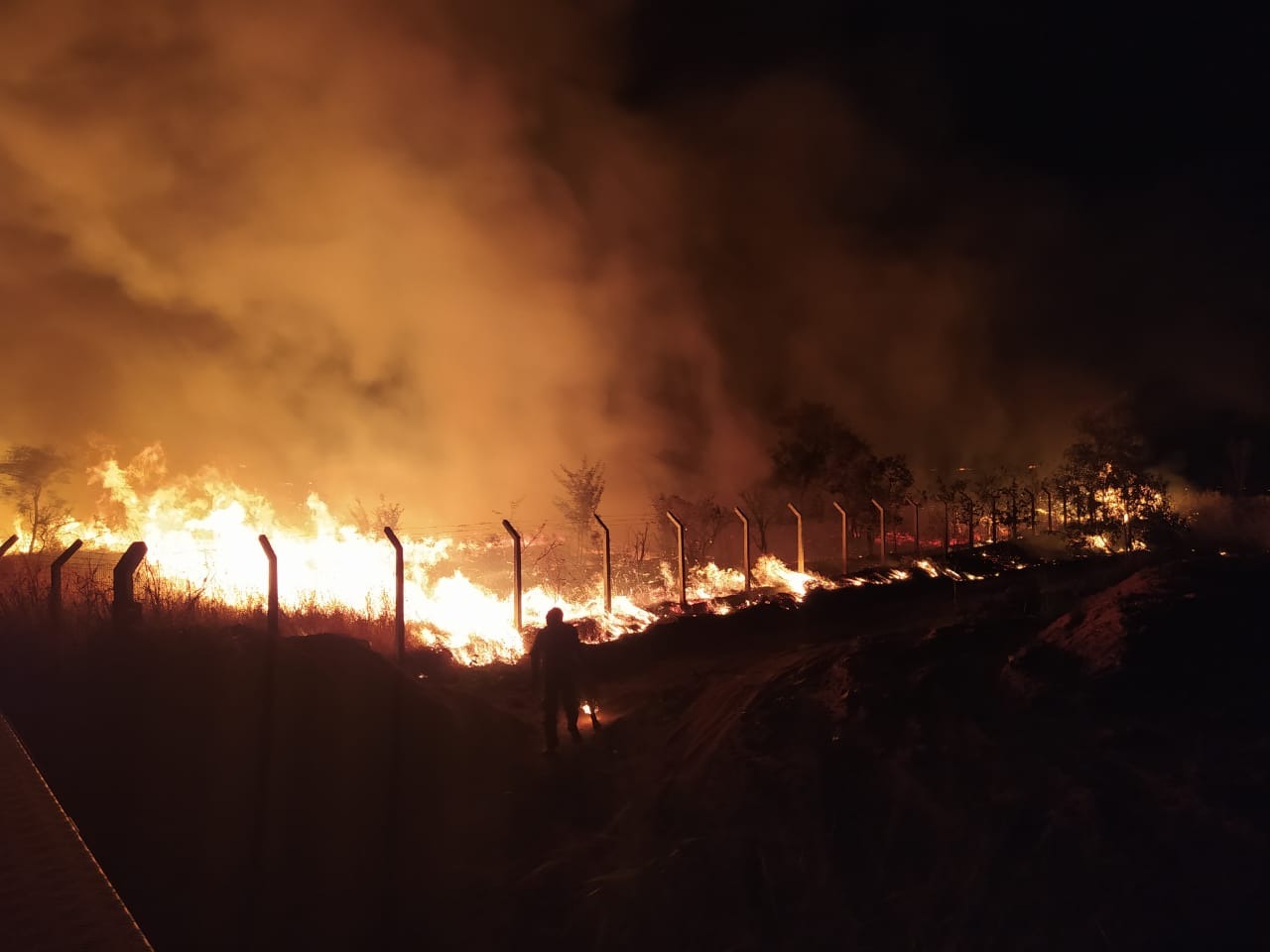 O Corpo de Bombeiros utilizou abafadores e dois mil litros de água para a contenção das chamas. Foto: 5º GBM.