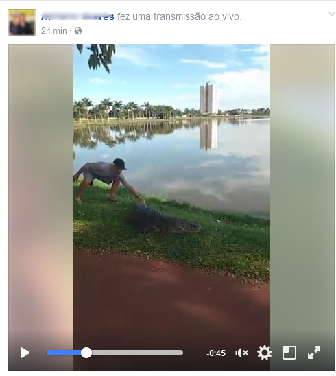 O homem aparece na transmissão puxando o rabo do jacaré, enquanto outros riem da ação. Foto: Reprodução facebook