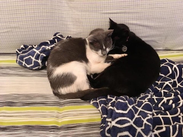 Foto: Arquivo pessoal.