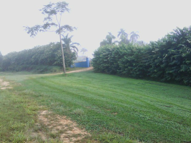 Acidente ocorreu durante trabalho com roçagem em fazenda (Foto: Cláudio Nascimento / TV TEM)