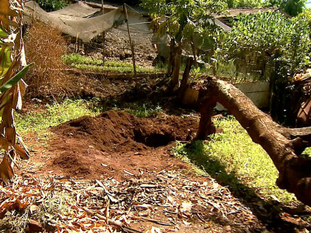 Fragmentos de ossos e dois dentes foram encontrados no quintal da casa (Foto: Reprodução/EPTV)