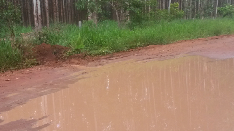 Foto: Repórter News