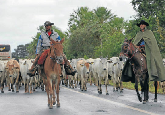 Foto: Correio do Estado