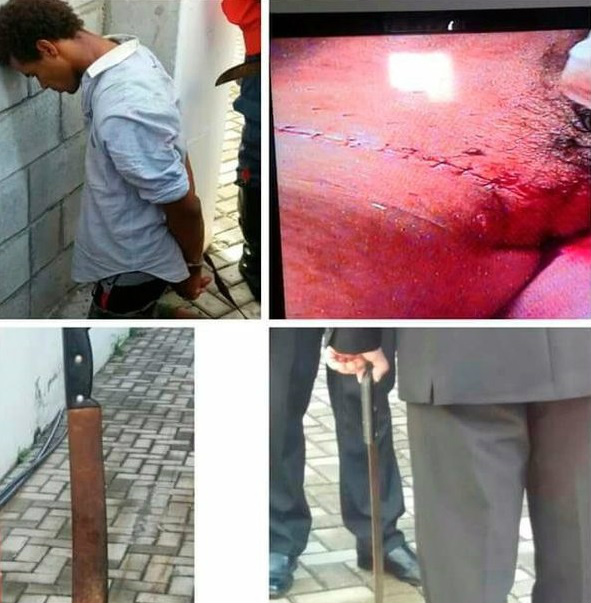 Foto:Divulgação