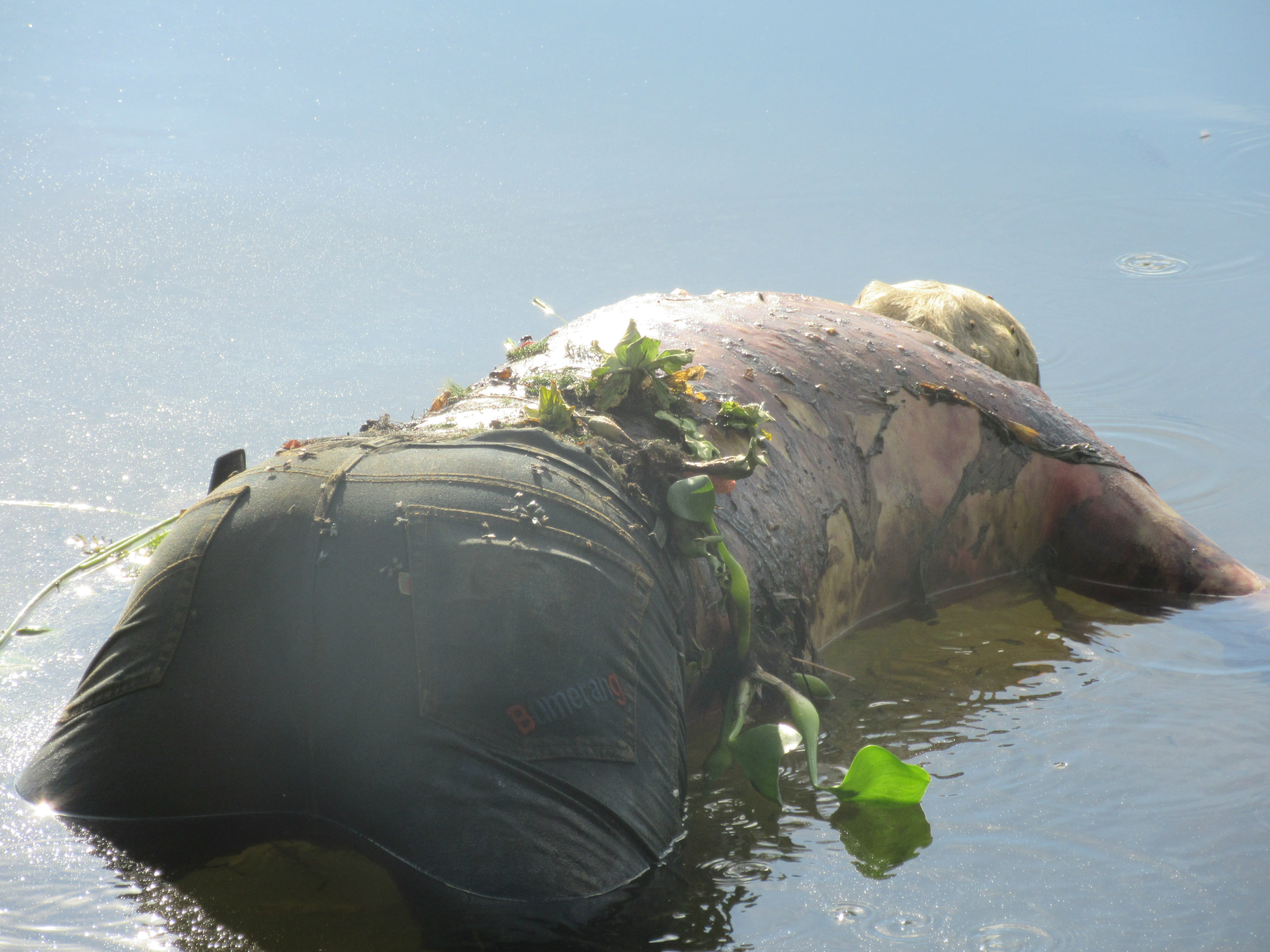 Foto: Rádio Caçula