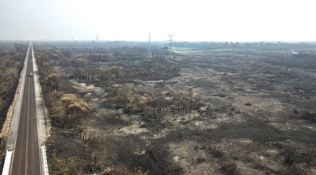 Cenário é de destruição onde antes havia vegetação nativa - Foto: Foto: Chico Ribeiro