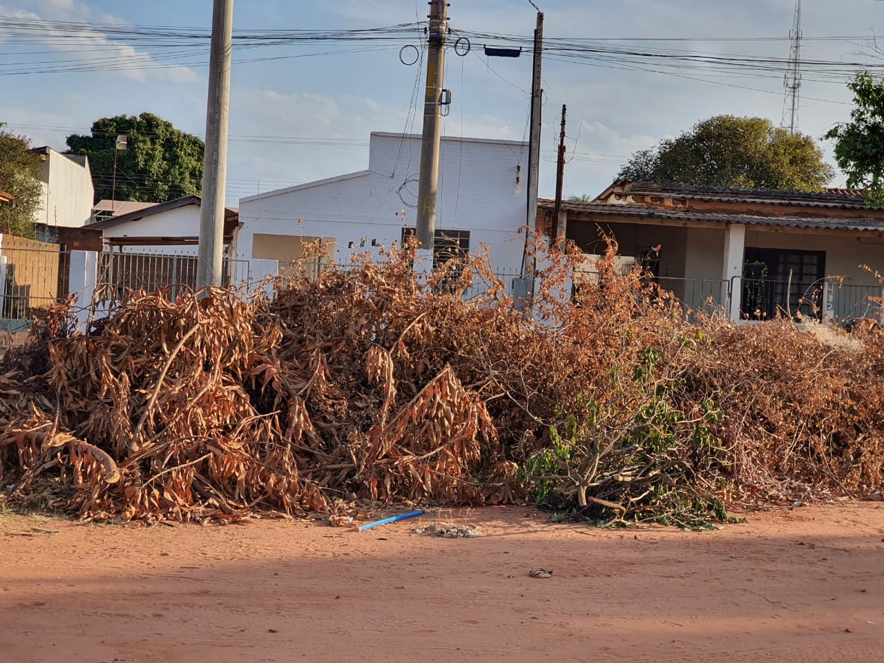 Foto: Direto das ruas/Internauta.