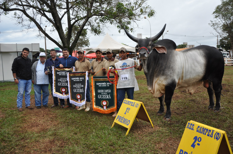 No segundo dia da área técnica da 36ª Expotrês, mais de 40 expositores vindos de diversas cidades participaram.Foto: Assessoria
