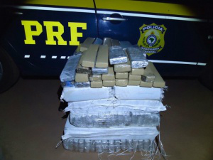 Homem ganharia R$ 5 mil pelo transporte da droga (Foto: Sidney Assis)