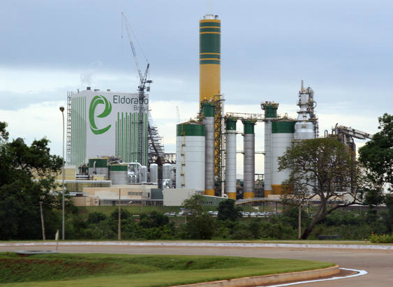 Foto : Celulose Online