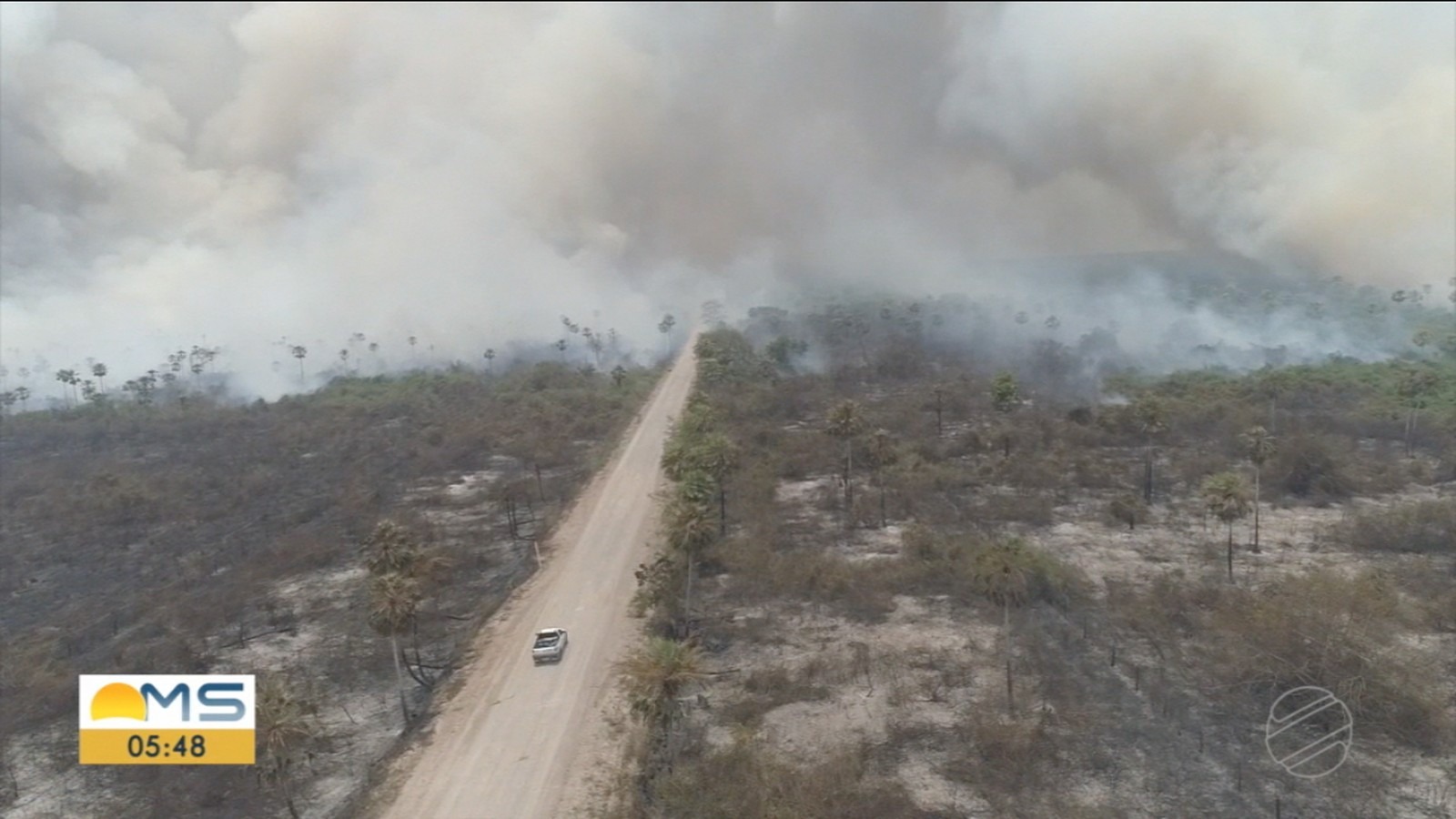 Cinza e fumaça mata à dentro no Pantanal de MS — Foto: Reprodução/TV Morena