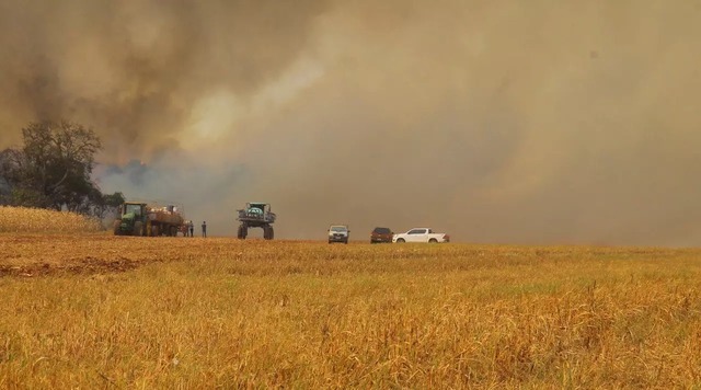 Fumaça encobre céu em área de pastagem - Foto: Campo Grande News