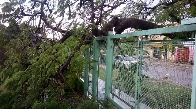Corumbá e Ladário sofre com chuva e ventos fortes