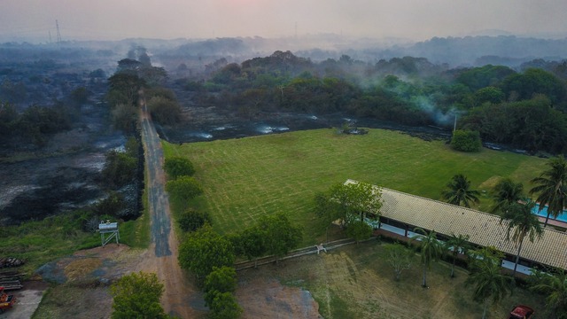 Incêndio já dura 11 dias no Pantanal - Foto: Foto: Chico Ribeiro 