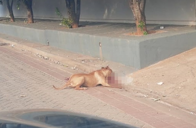 Foto: Arquivo Pessoal