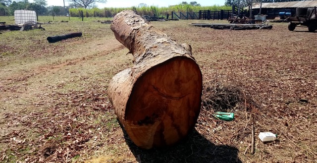 Foto: Divulgação/PMA