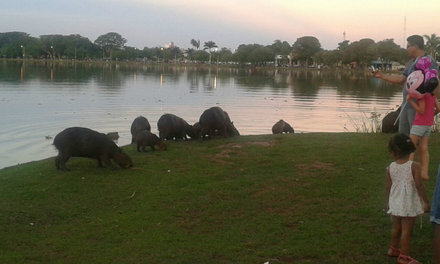 Foto: Marcio Ribeiro