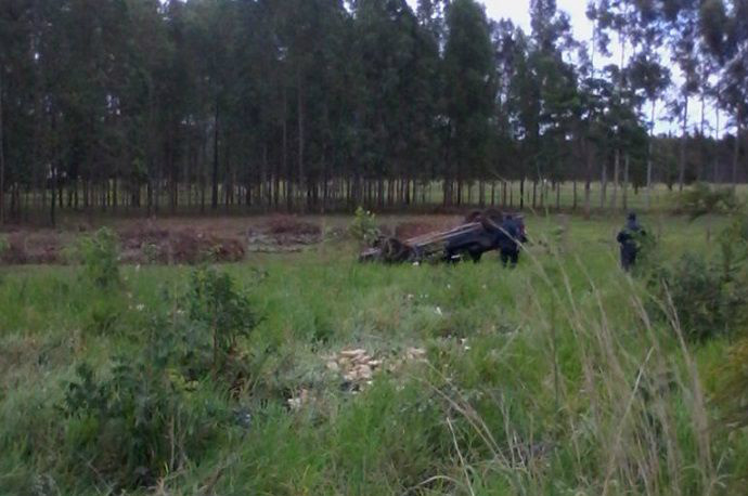 Créditos: Jornal da nova 