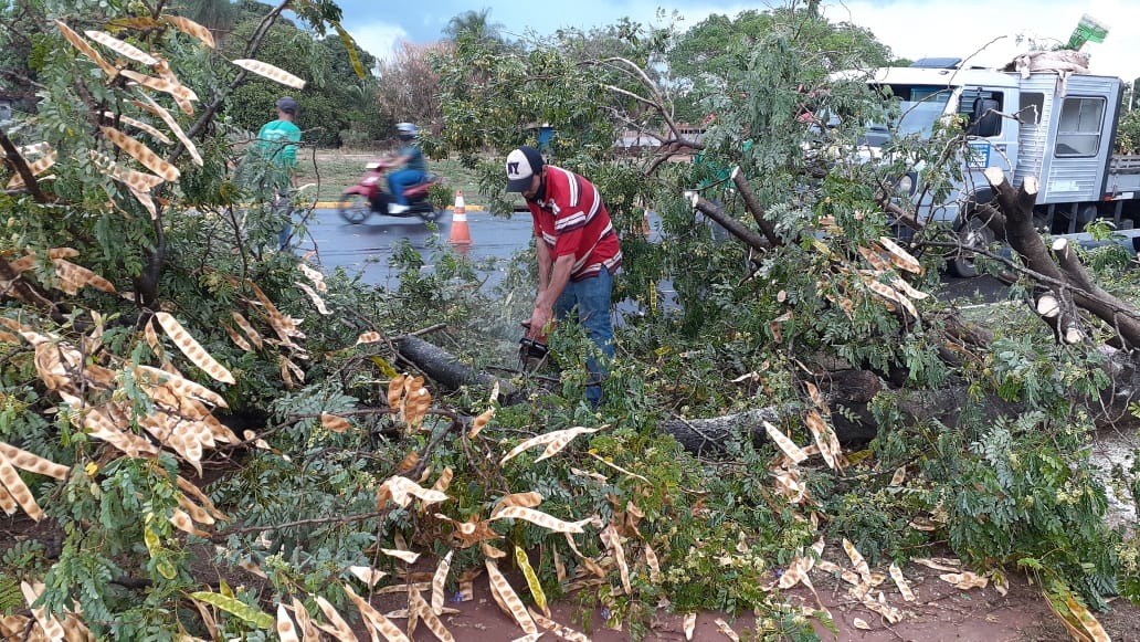 Fotos: Divulgação